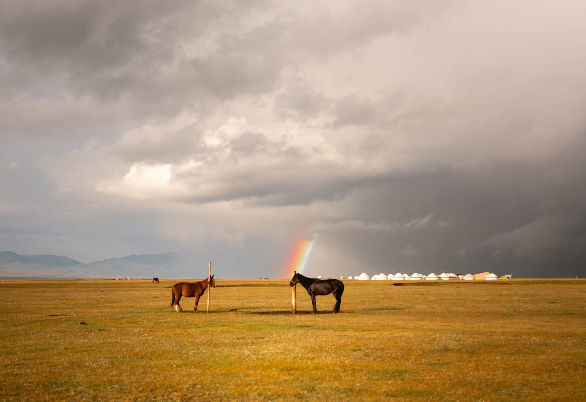 Living Like a Nomad: An Authentic Cultural Journey Through Kyrgyzstan