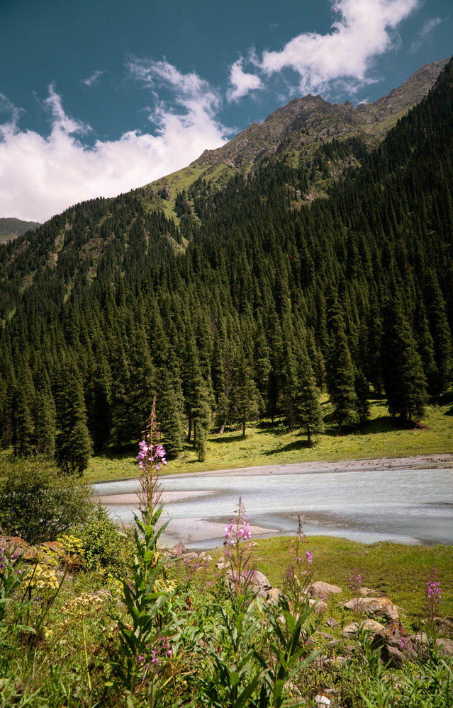 Kyrgyzstan Travel Essentials: Your Complete Guide